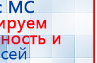 СКЭНАР-1-НТ (исполнение 01 VO) Скэнар Мастер купить в Тобольске, Аппараты Скэнар купить в Тобольске, Дэнас официальный сайт denasolm.ru