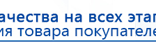 Электрод самоклеящейся «Бабочка» купить в Тобольске, Выносные электроды купить в Тобольске, Дэнас официальный сайт denasolm.ru